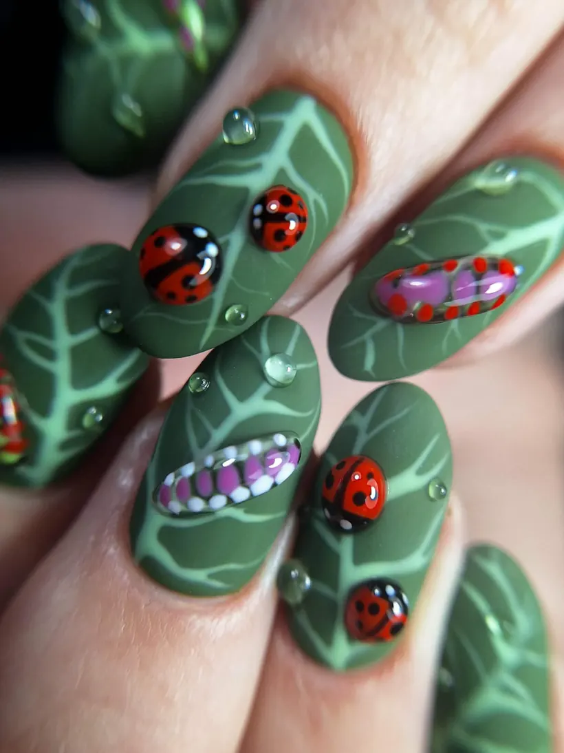 Coccinelles en 3D